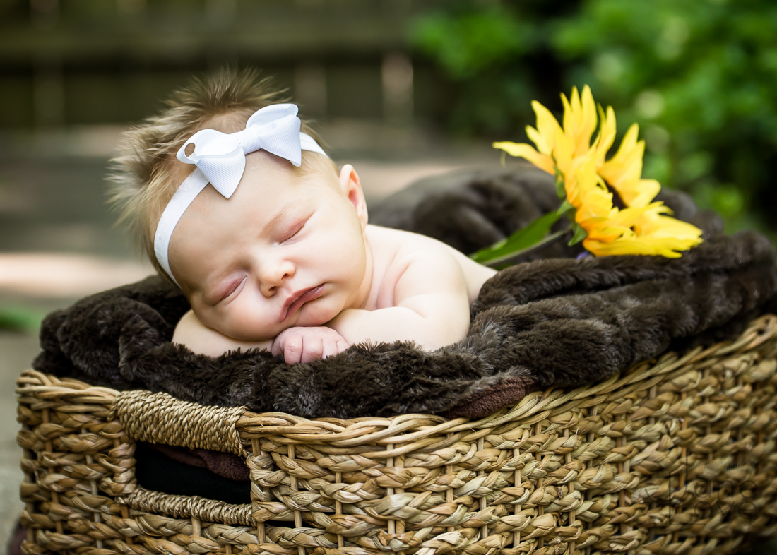 Potomac Maryland baby portrait